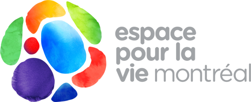 logo-eplv